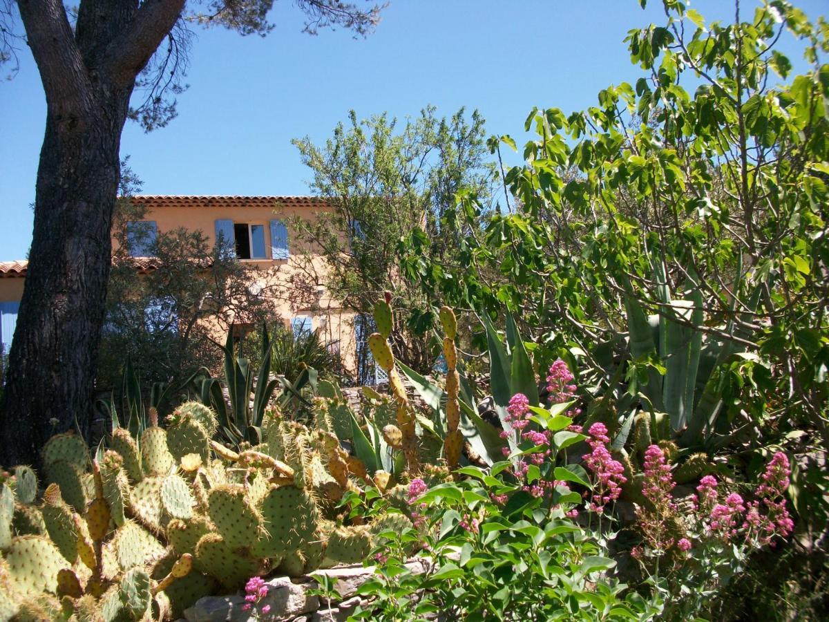 Bed and Breakfast Les Chardons Bleus Лорґ Екстер'єр фото